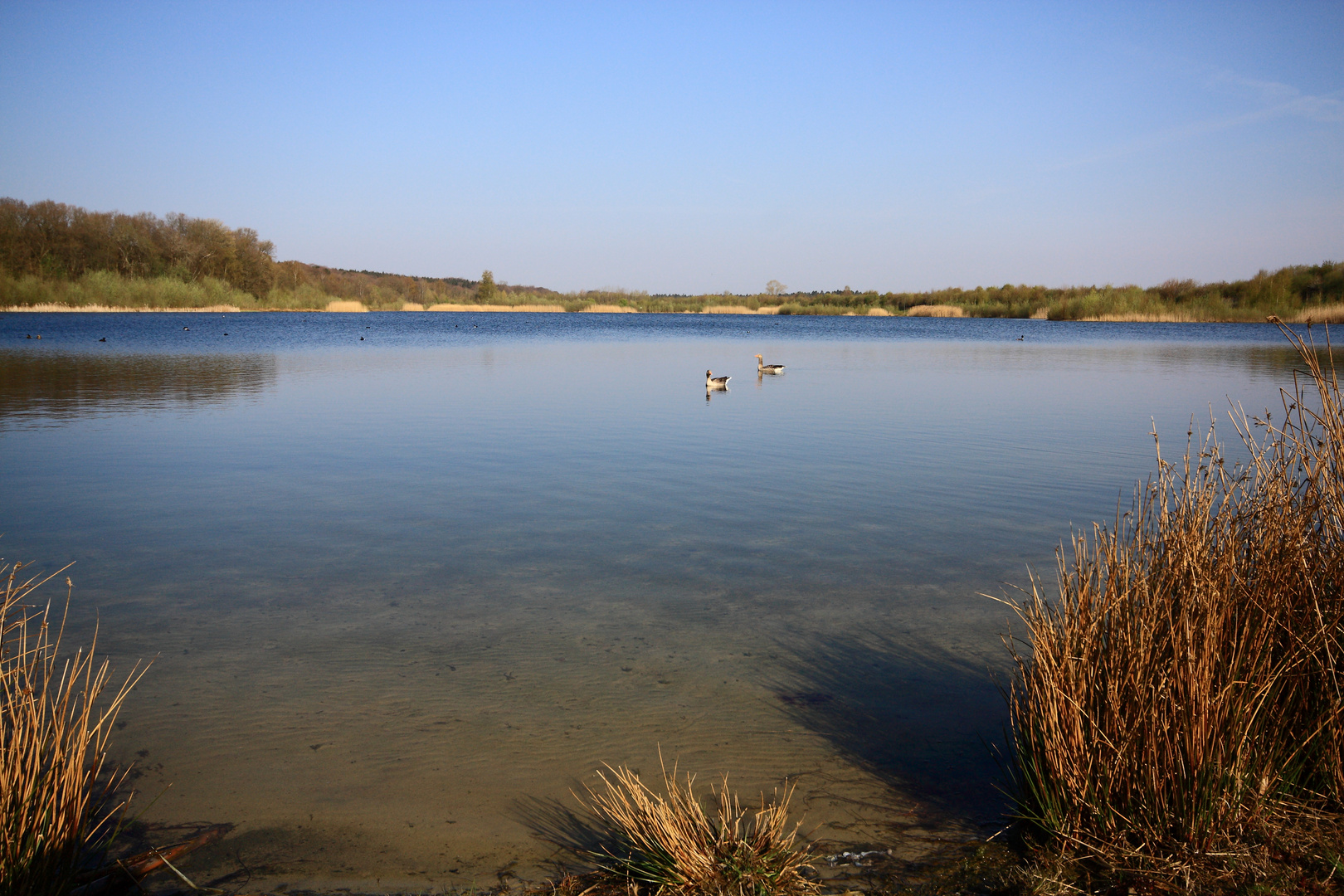 der See II