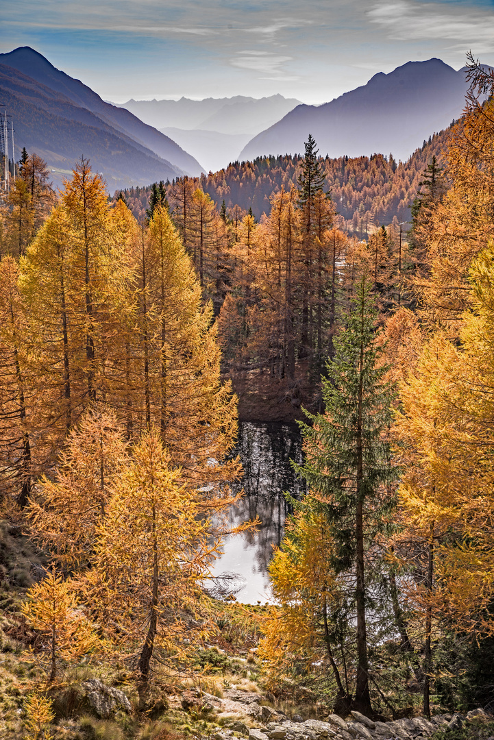 Der See im goldenen Wald