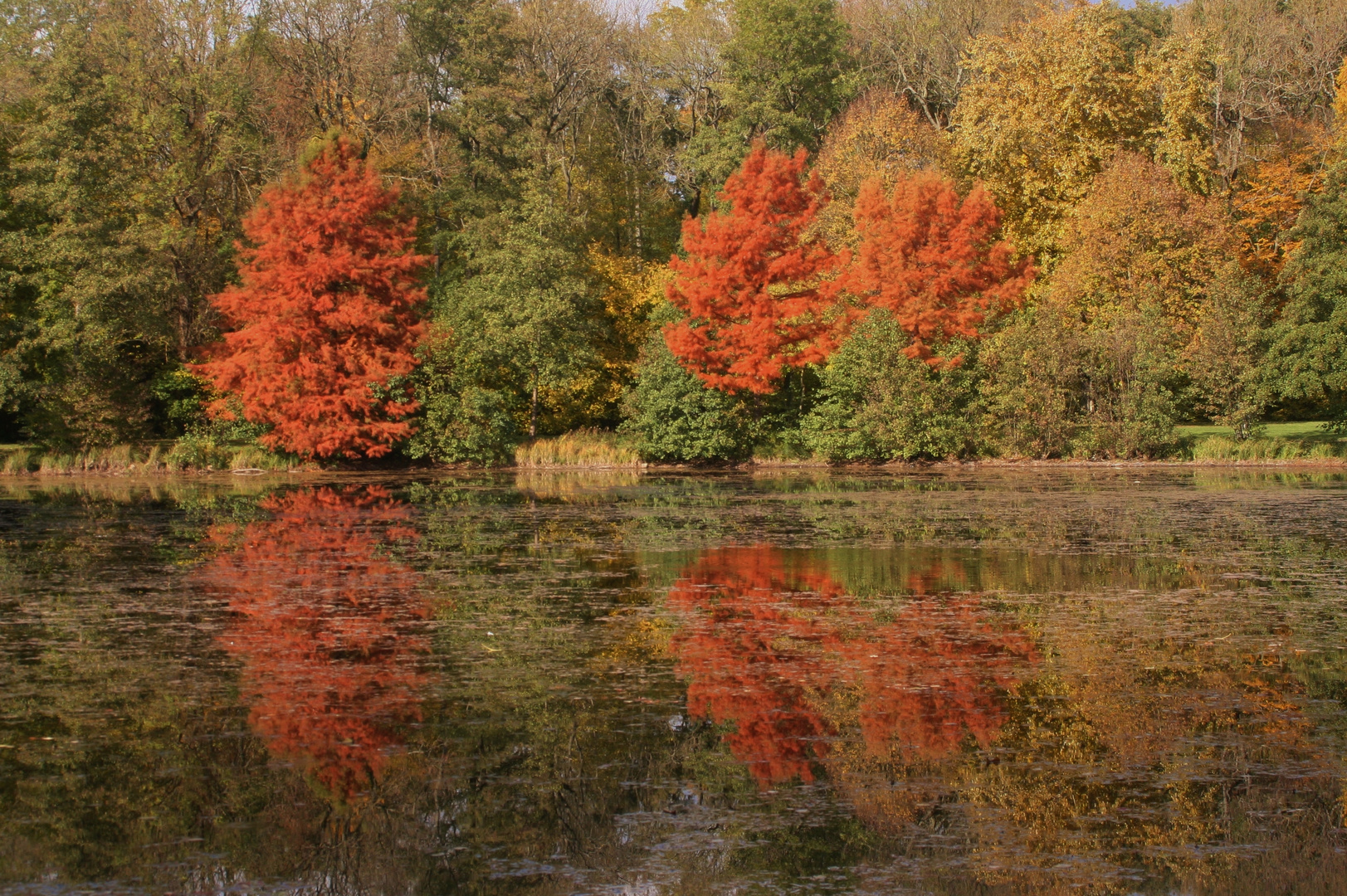 Der See im Herbst