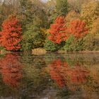 Der See im Herbst