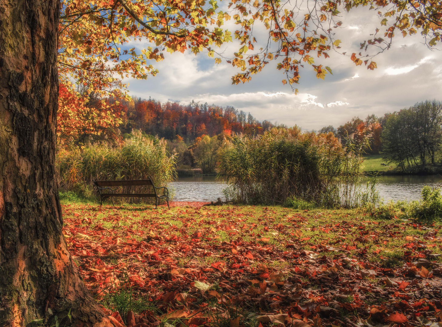 Der See im Herbst