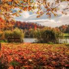 Der See im Herbst