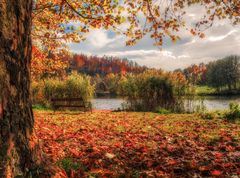 Der See im Herbst