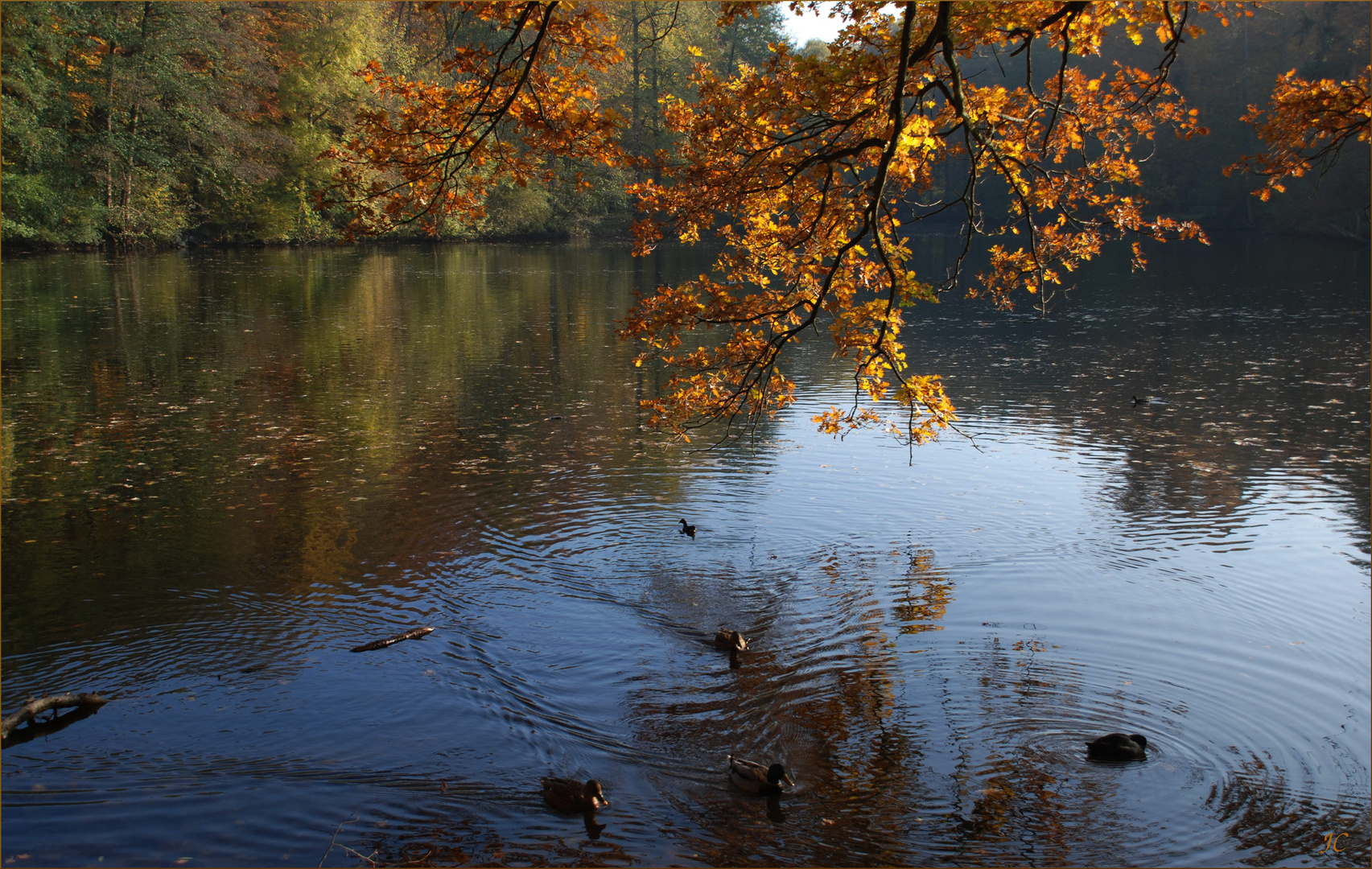 Der See im Herbst # El lago en otoño