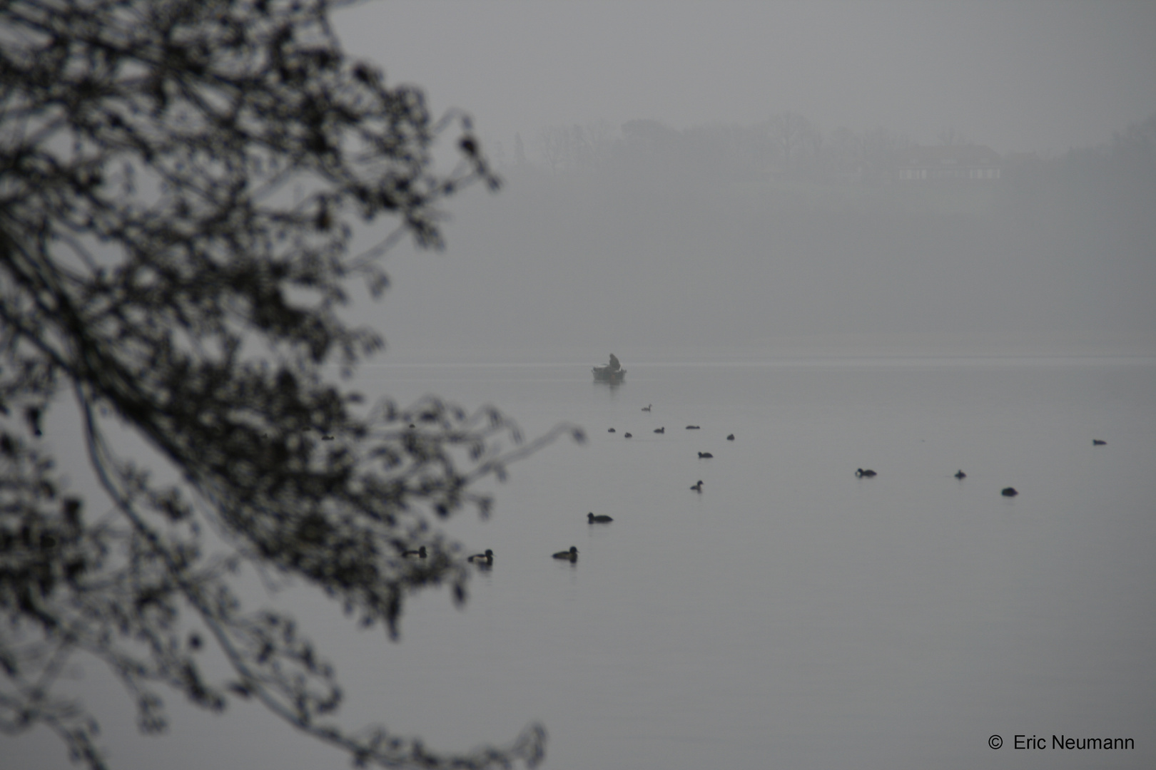 Der See im Nebel