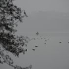 Der See im Nebel
