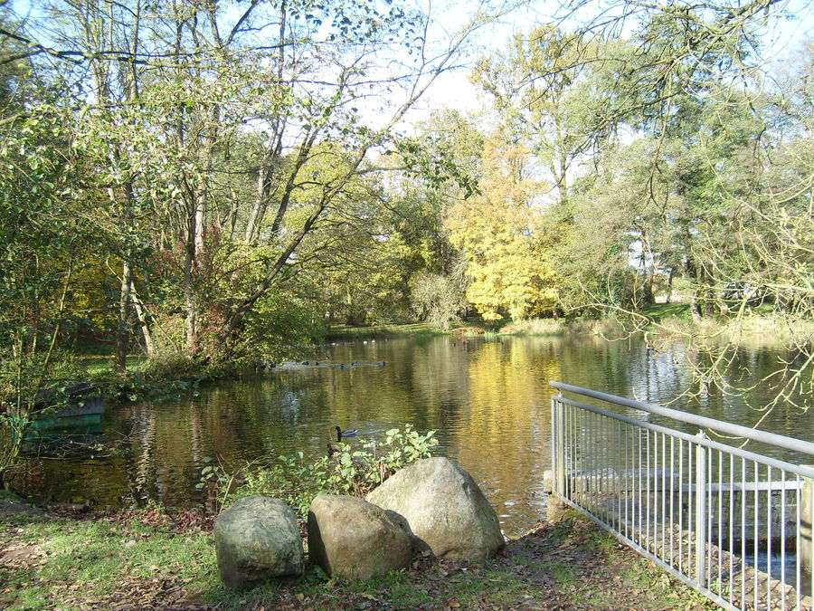 der see im stadtpark