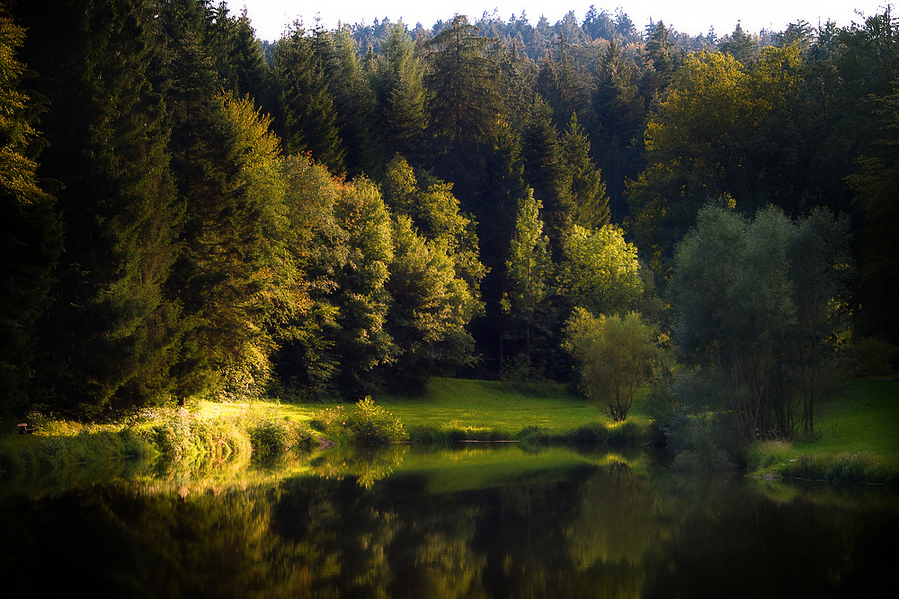 Der See im Wald