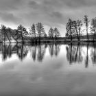 Der See im Winter