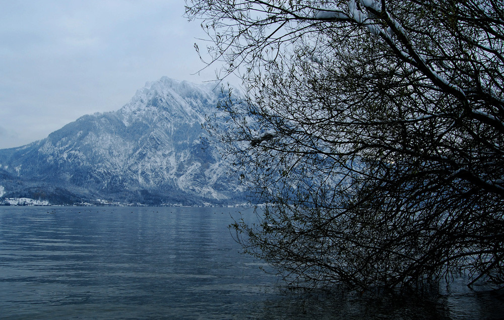 Der See im Winter