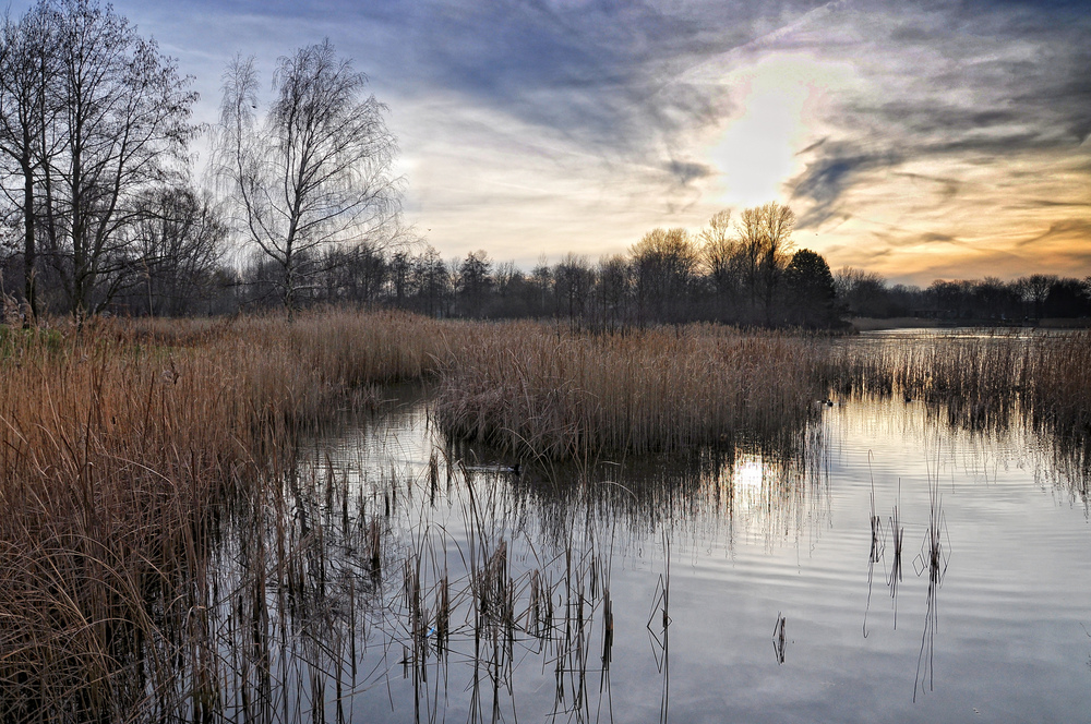 Der See im Winter .......