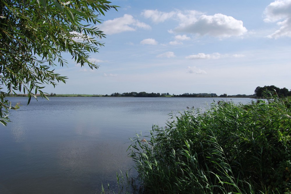 Der See in Angermünde ( Uckermark )