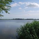 Der See in Angermünde ( Uckermark )