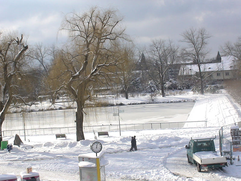 Der See in Böblingen. Januar 2007