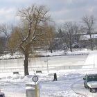 Der See in Böblingen. Januar 2007