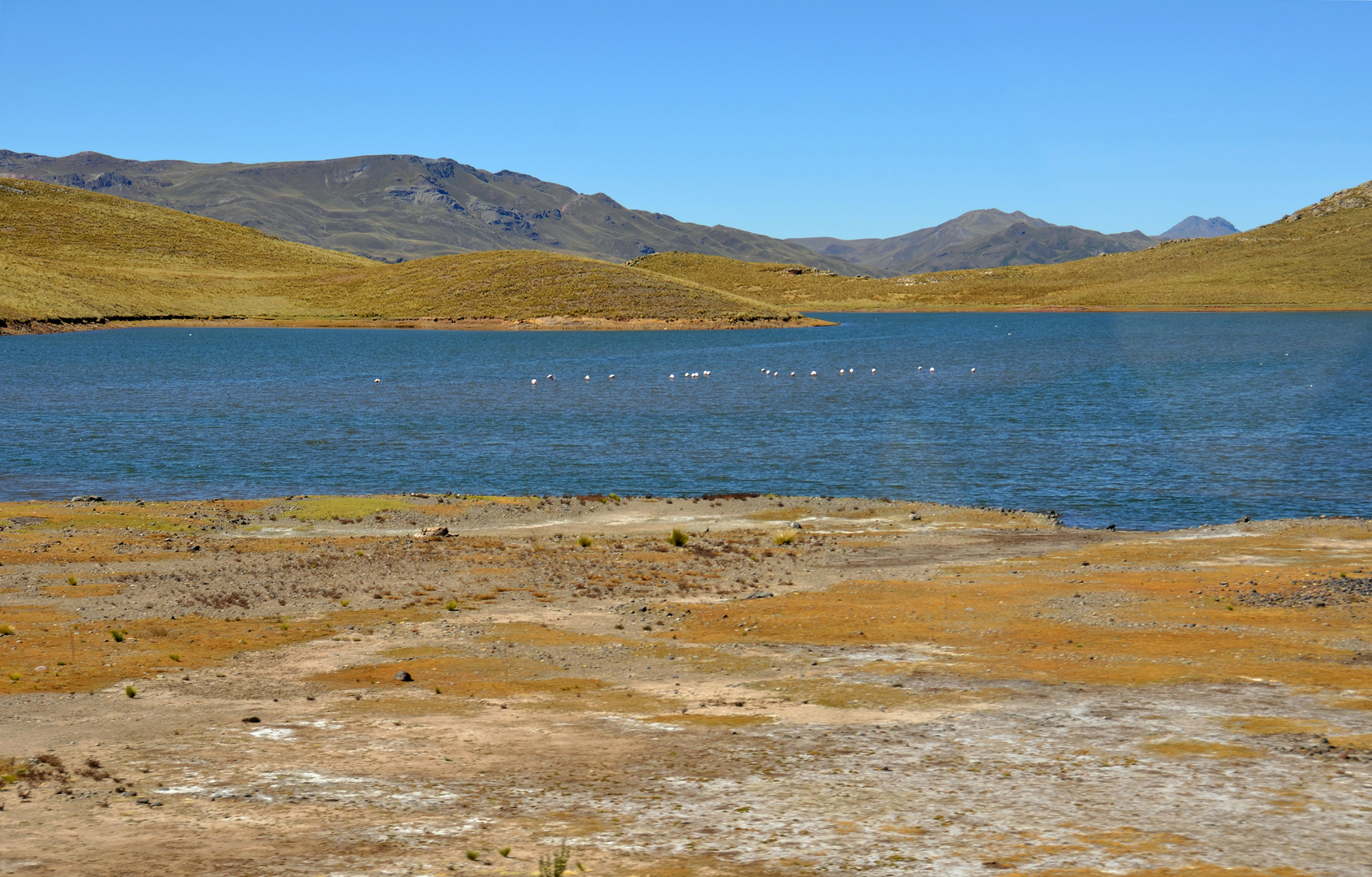 Der See Laguna Lagunillas im Süden von Peru