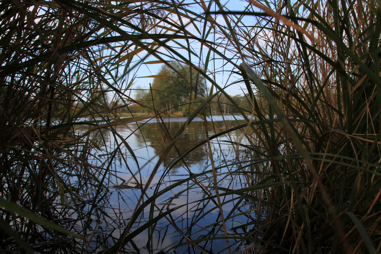 Der See mal ganz anders.