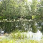 Der See mitten im Moor