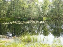 Der See mitten im Moor