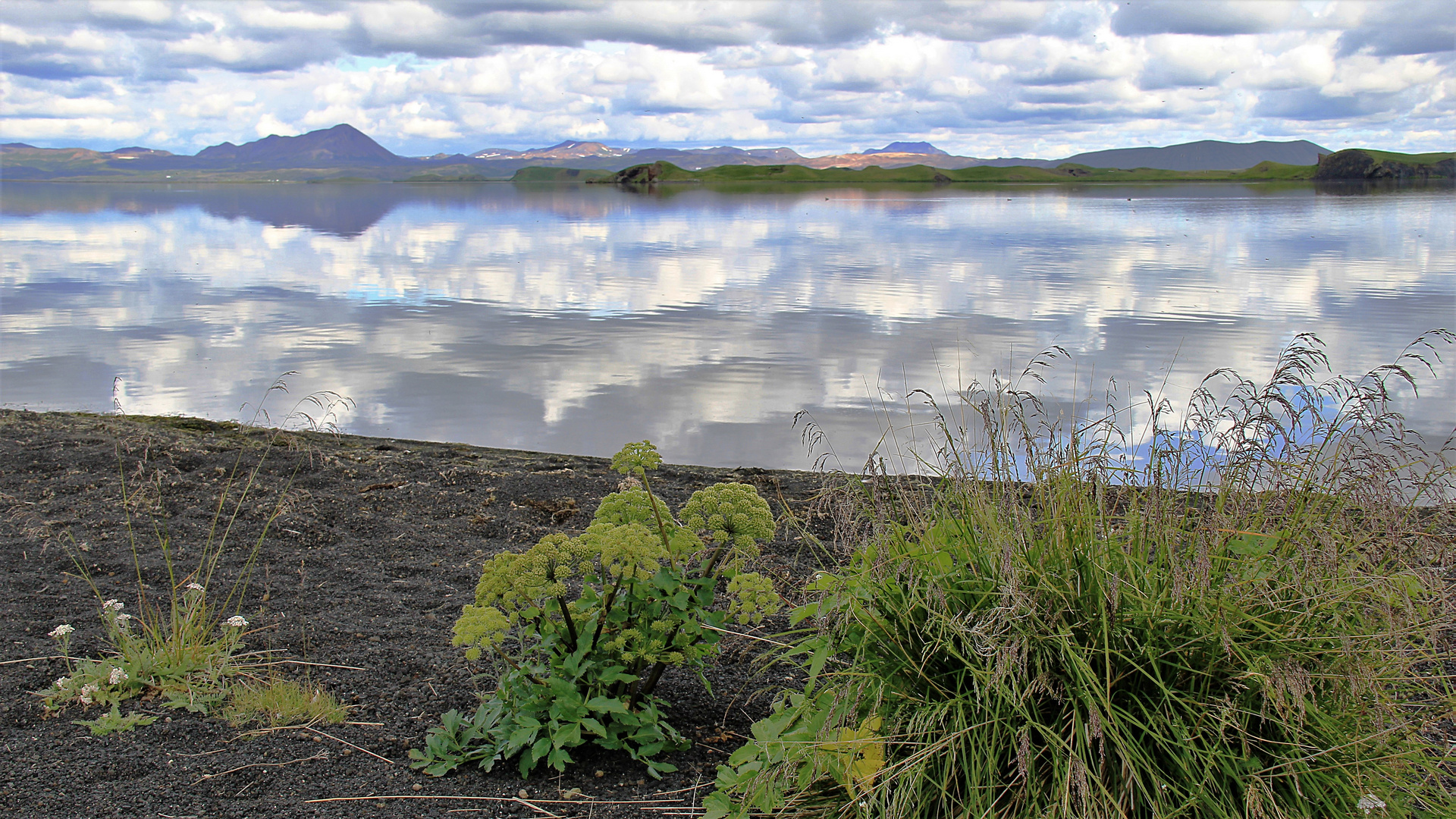 Der See Mývatn 