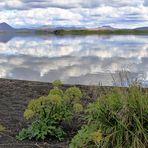Der See Mývatn 