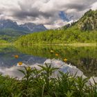 Der See.. Natürliche Kreativität statt KI. 