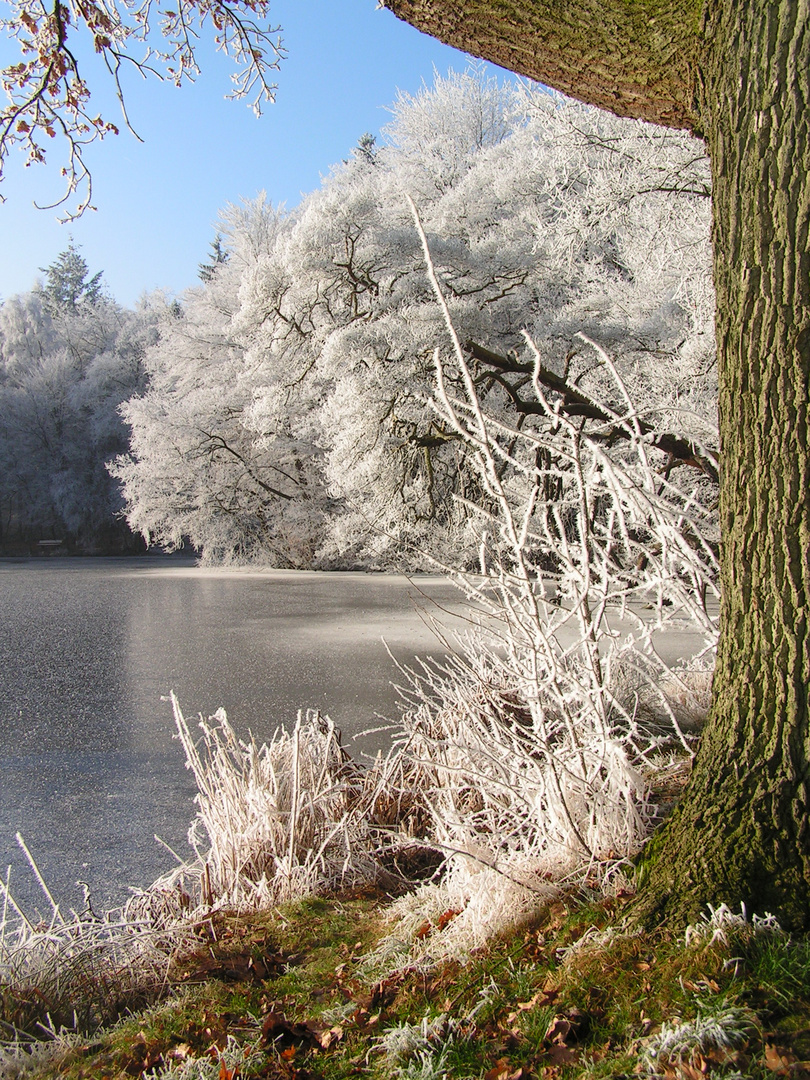 Der See ruht