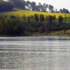 Der See umringt von der Natur