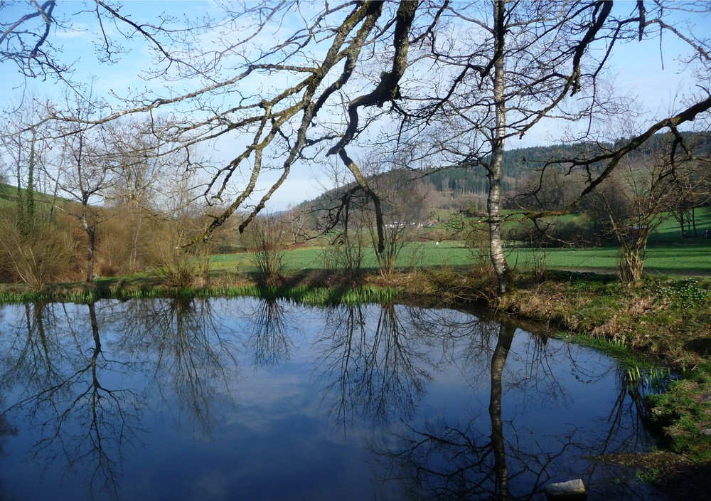 Der See - unberührte Natur