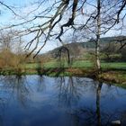 Der See - unberührte Natur