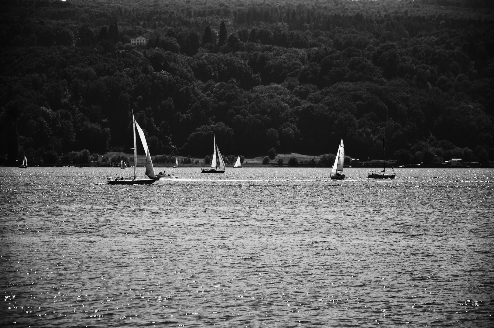 der See und all die kleinen  Boote