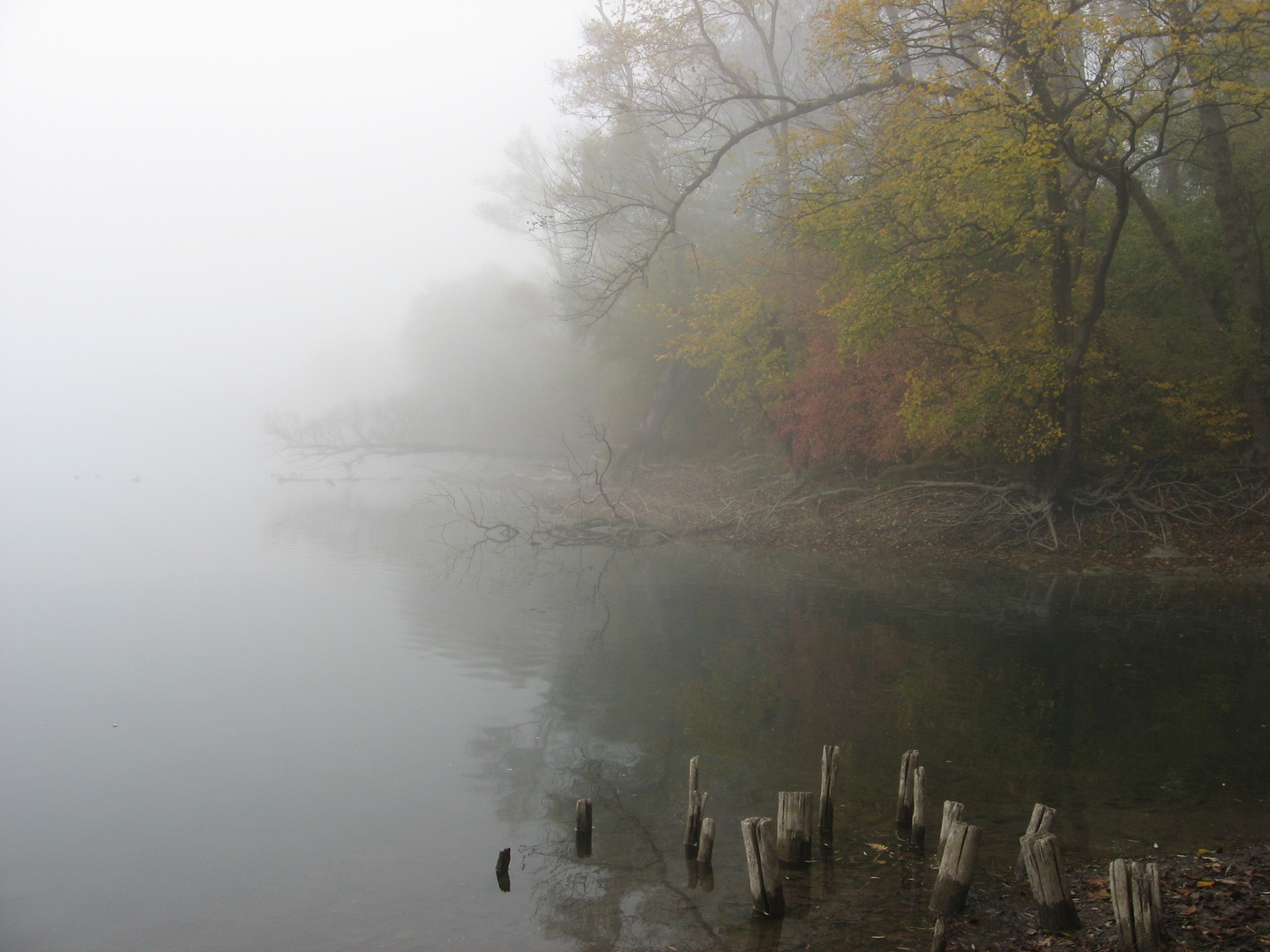 Der See unter einem Schleier