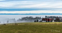 Der See versteckt sich im Nebel