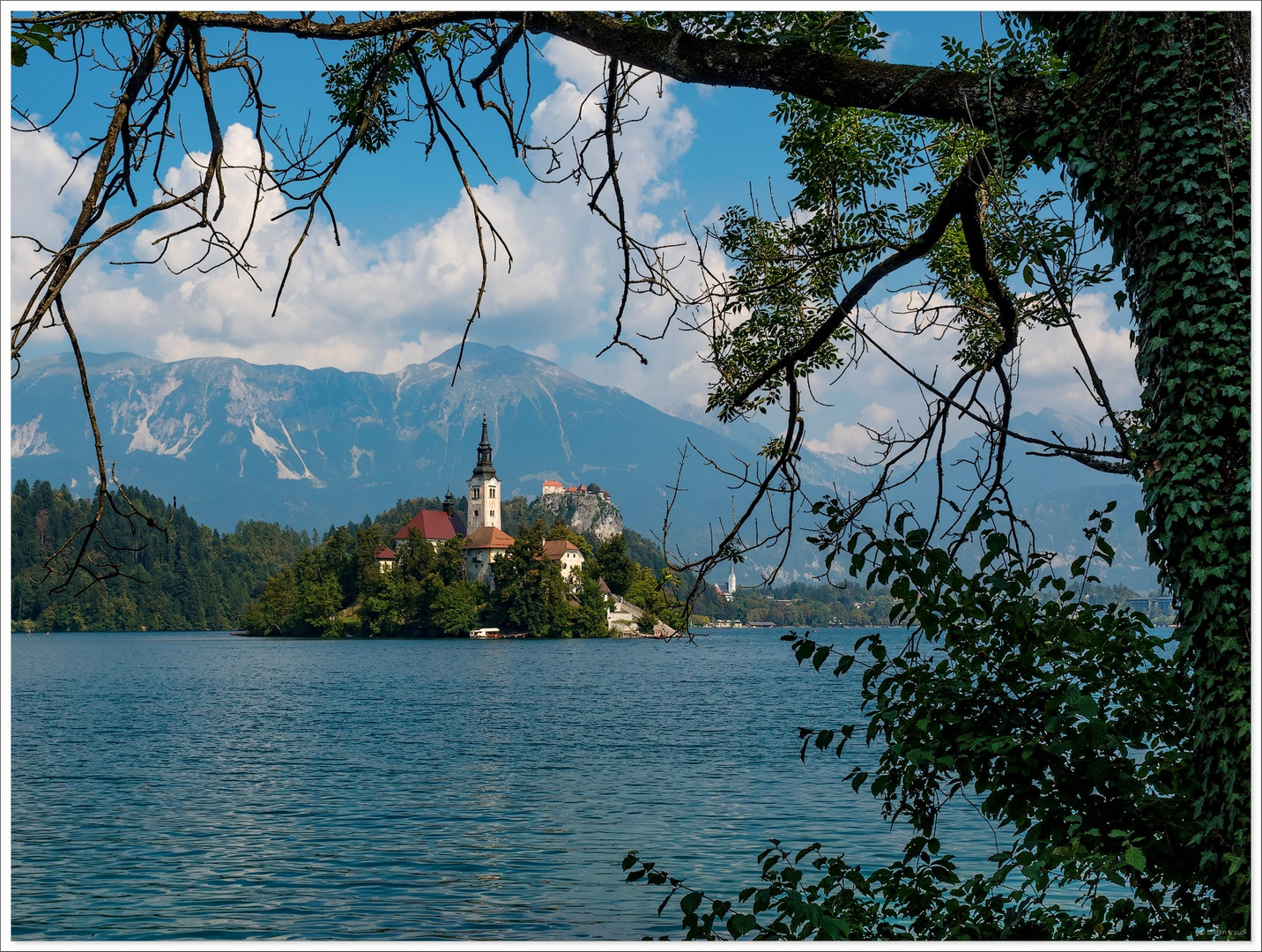 Der See von Bled