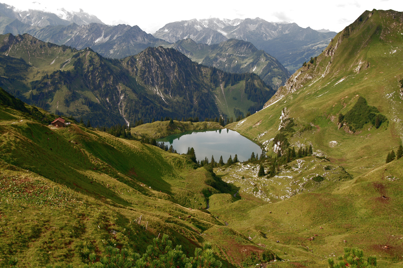 Der Seealpsee ...