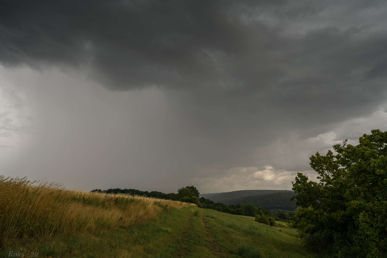 Der Seegen vom Regen