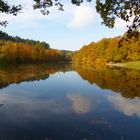 der Seelbacher Anglerweiher