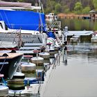 Der Segelhafen Am Seehäusl