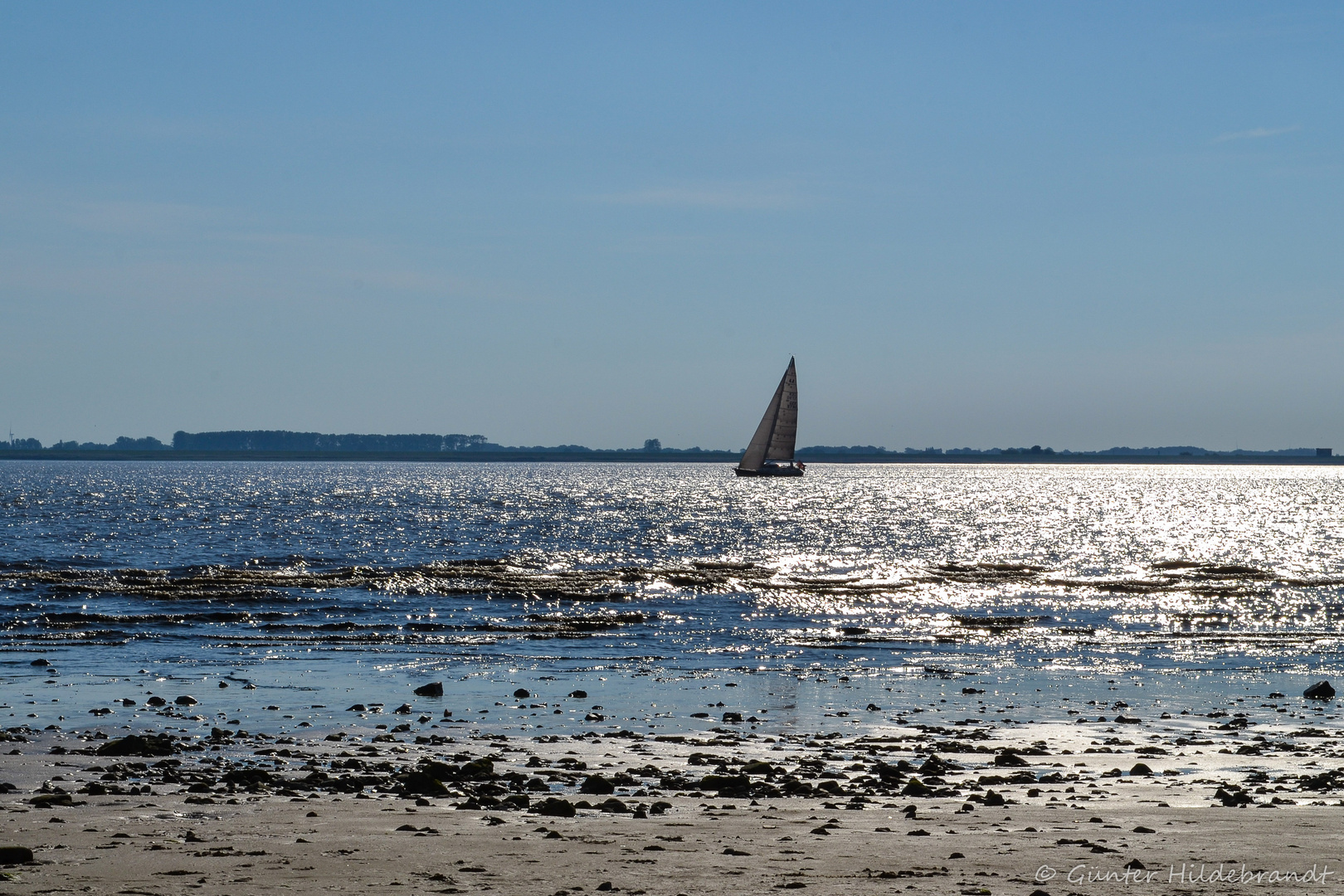 Der Segler auf der Elbe