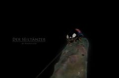 Der Seiltänzer