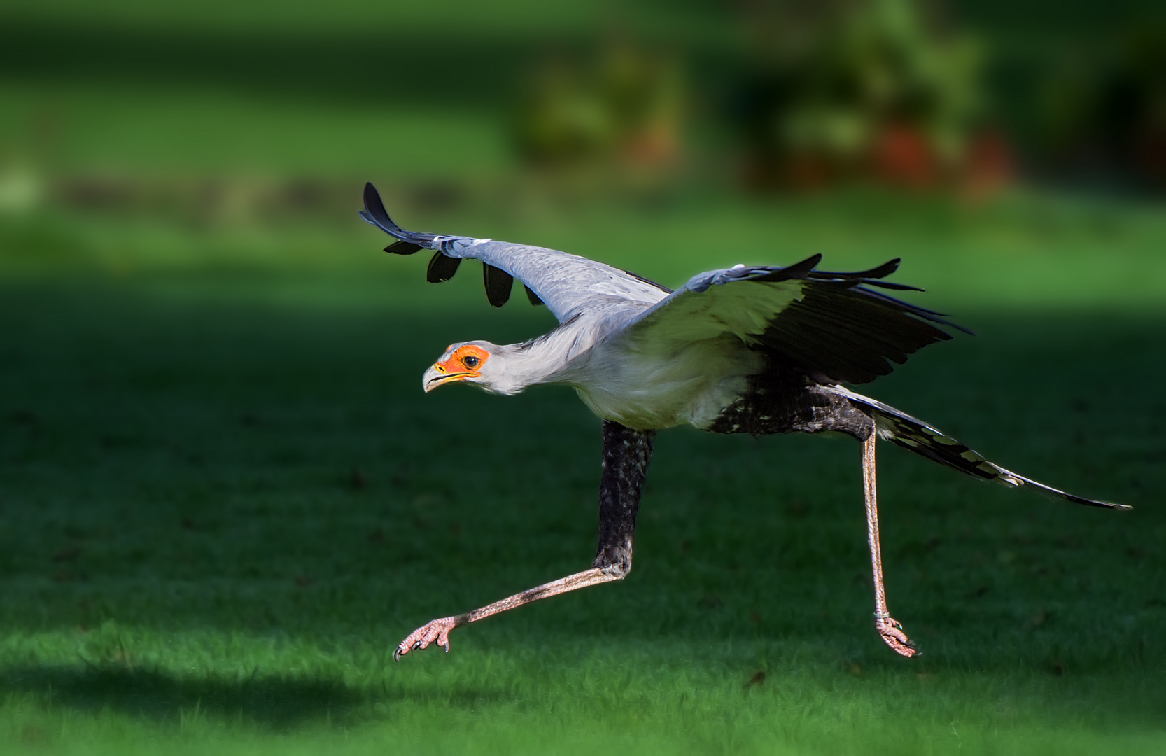 Der Sekretär hetzt von einem Termin zum anderen .....