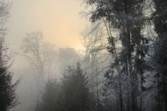 Der selbe frostige Morgen......