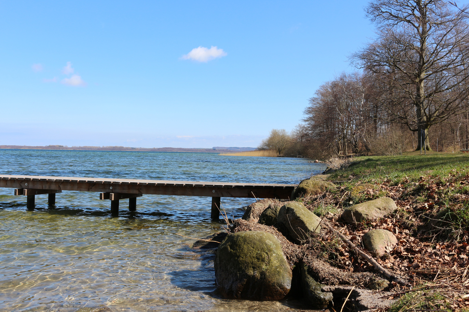 Der Selenter See in Schleswig-Holstein im Frühling