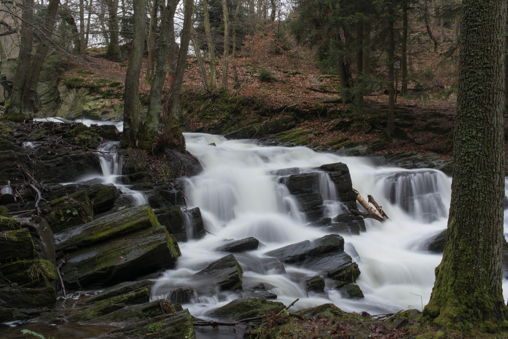 Der Selkefall bei Alexisbad