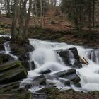 Der Selkefall bei Alexisbad