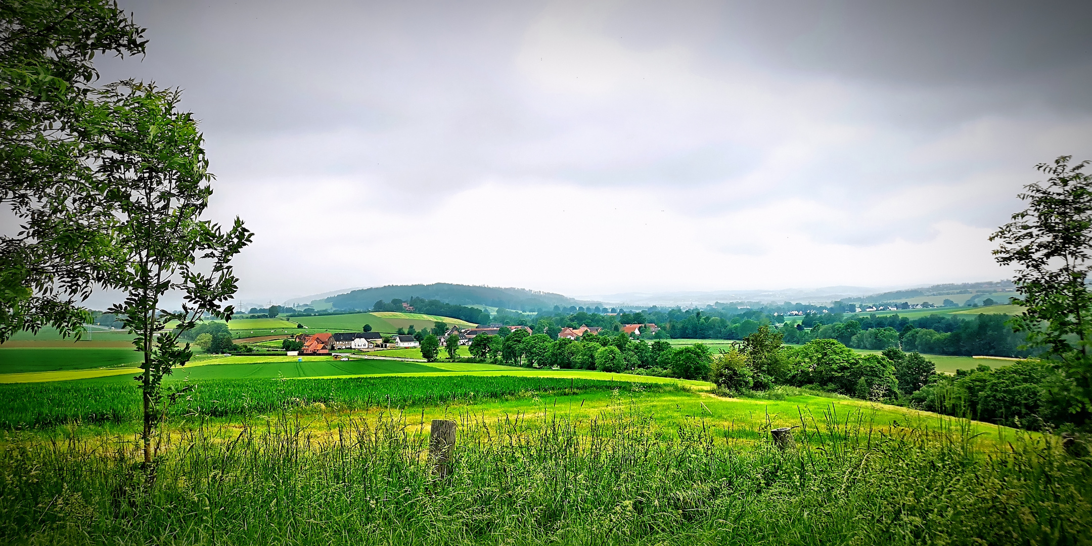 Der Selxen-Blick