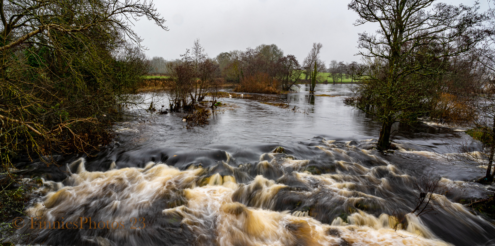 Der Shannon bei Winter