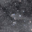 Der Shark Nebel LDN 1235 im Sternbild Cepheus