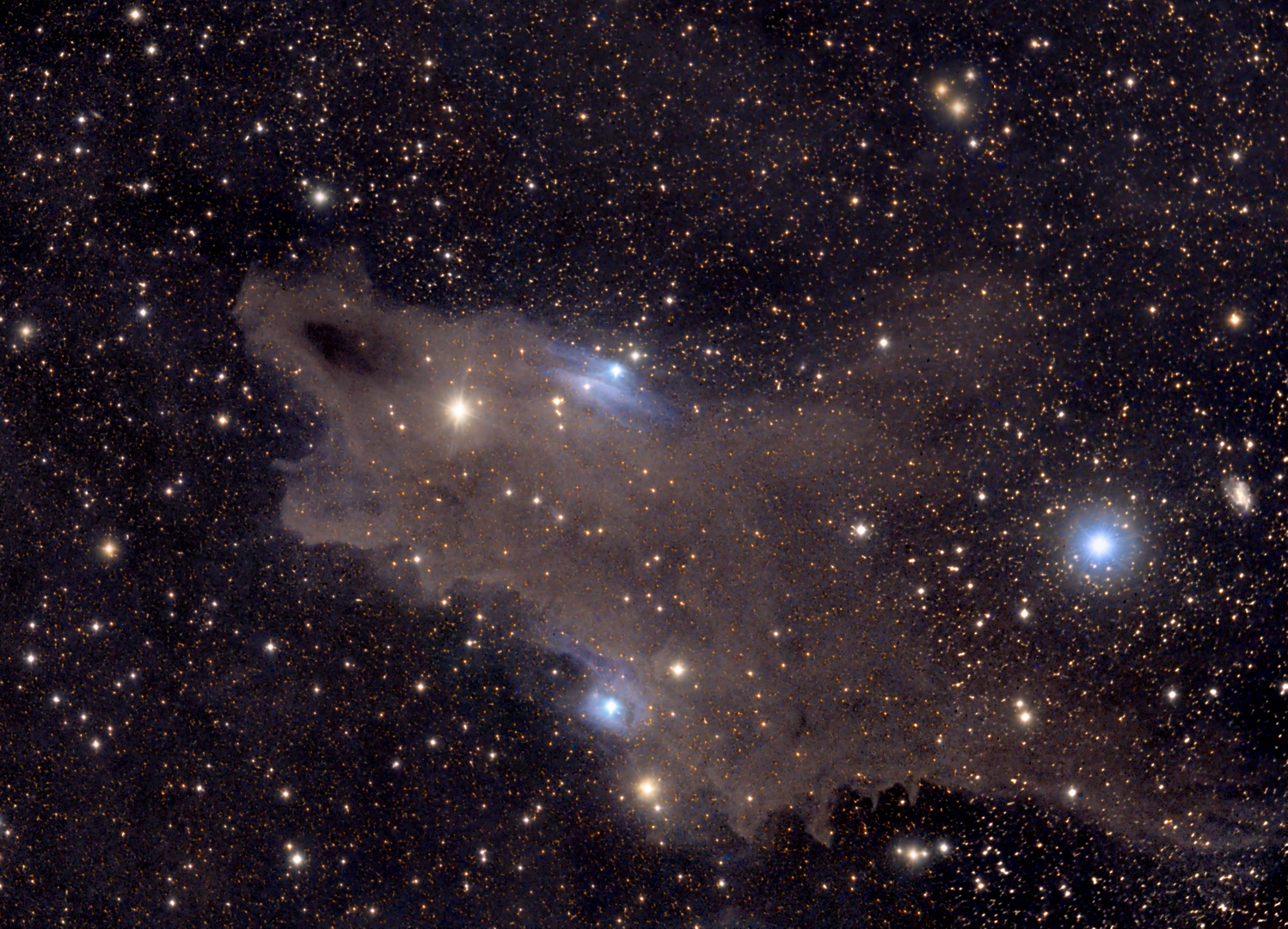 Der Shark Nebel - LDN 1235 im Sternbild Cepheus