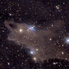 Der Shark Nebel - LDN 1235 im Sternbild Cepheus